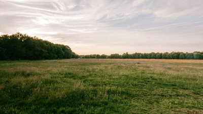 The view over the green space at Wimbledon Common.