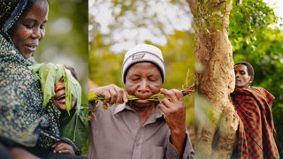 A collage of three portraits showing local communities and their connection to the natural world.