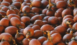 Figure 1 aguaje fruit sold as a snack or made into ice cream, drinks, cakes, or jam