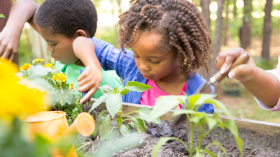 Two children used mini shovels to to dig into the soil between small green plants. 