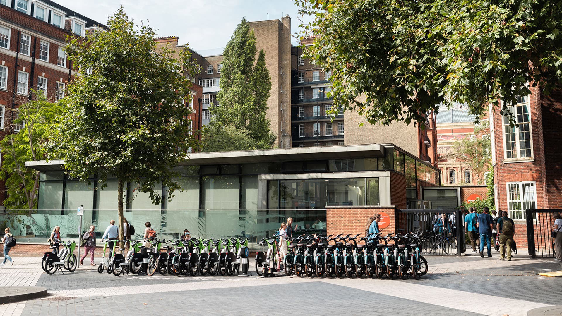 Rgs Location Sustainability reports | RGS