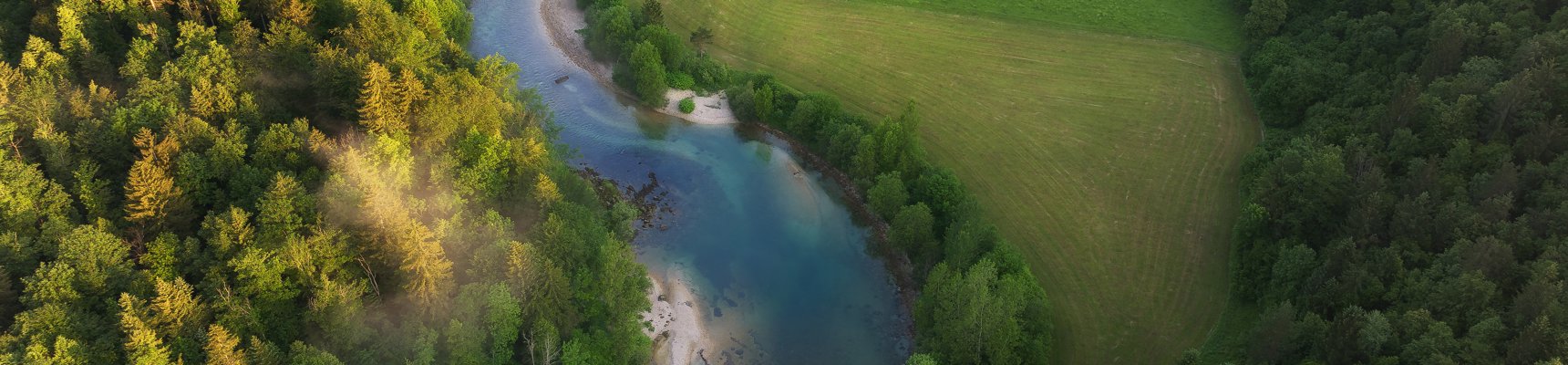 River processes and management | RGS