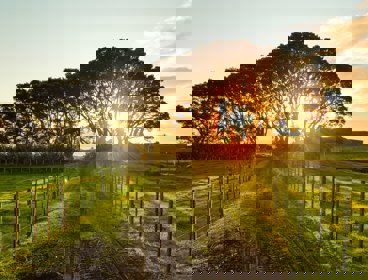 A dirt track in the countryside, the sun is low in the sky and buildings can be seen in the distance
