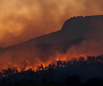 Forest fire at night with flames and smoky, orange hue.