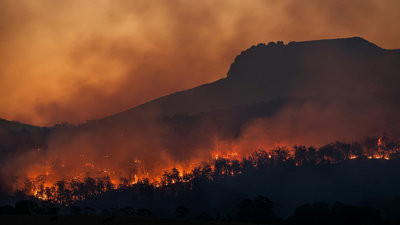 Forest fire at night with flames and smoky, orange hue.