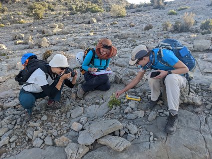 Three people crouching around a flowering plant surrounded by rocks. One person is taking a photo, one is writing notes on a clipboard and the other is touching the plant. All three are wearing sunhats and rucksacks.