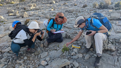 Three people crouching around a flowering plant surrounded by rocks. One person is taking a photo, one is writing notes on a clipboard and the other is touching the plant.