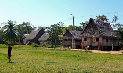 Young person walking across grass in front of a line of wooden houses surrounded by palm trees. 