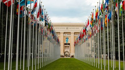 Flag posts with flags lined up on a grass lawn outside a United Nations building. 