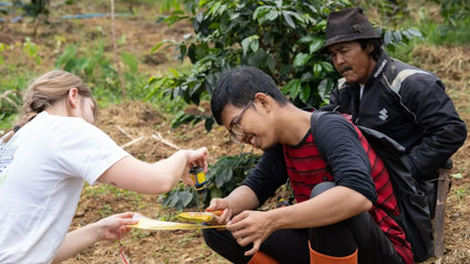Two people crouching in a field, one pouring a small bottle of liquid onto a paint brush held by the other individual. Behind them is a person standing and watching the process.