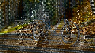 An electric bike on a gravel road in a forest.