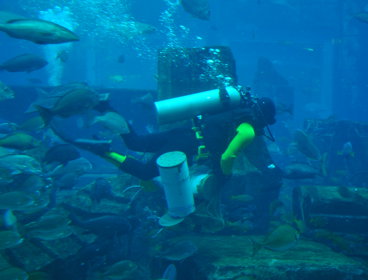 Scuba diver with black and yellow suit and air tank, with bubbles and fish