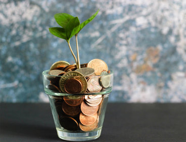 A glass jar containing coins with a small plant growing out of the top.