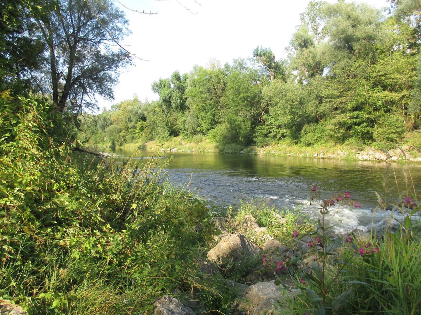 Hydrogeomorphological monitoring and assessment tools for rivers | RGS