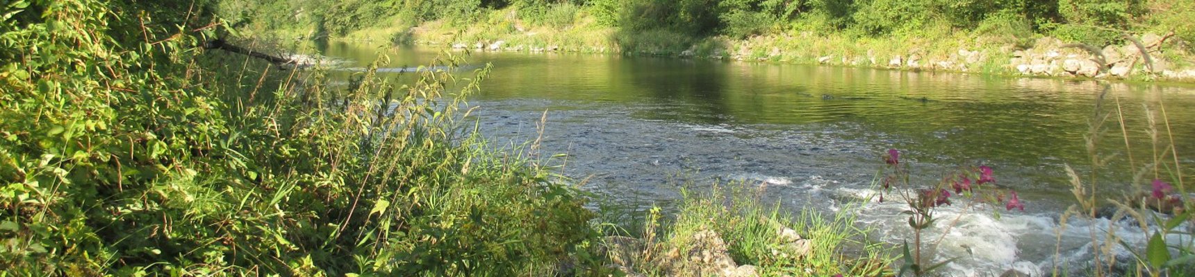 Hydrogeomorphological monitoring and assessment tools for rivers | RGS