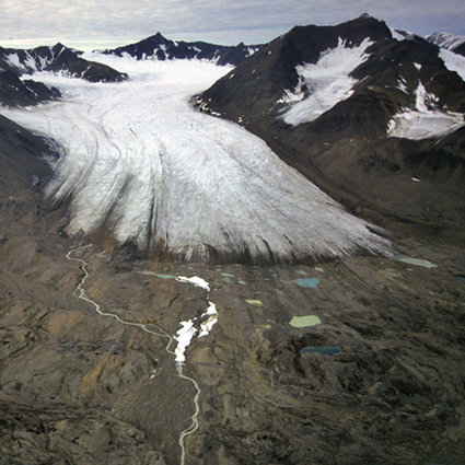 A glacier snout seen emerging from a valley. The glacier is white grey in colour and the valley sides are deep brown and scattered with snow fall