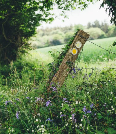 Leaning signpost in a grassy area