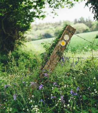 Leaning signpost in a grassy area