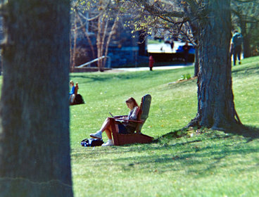 A person sitting in a lawn chair working on a laptop.