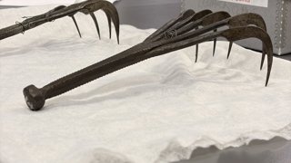 Metal claws exhibit at Culture& workshop.