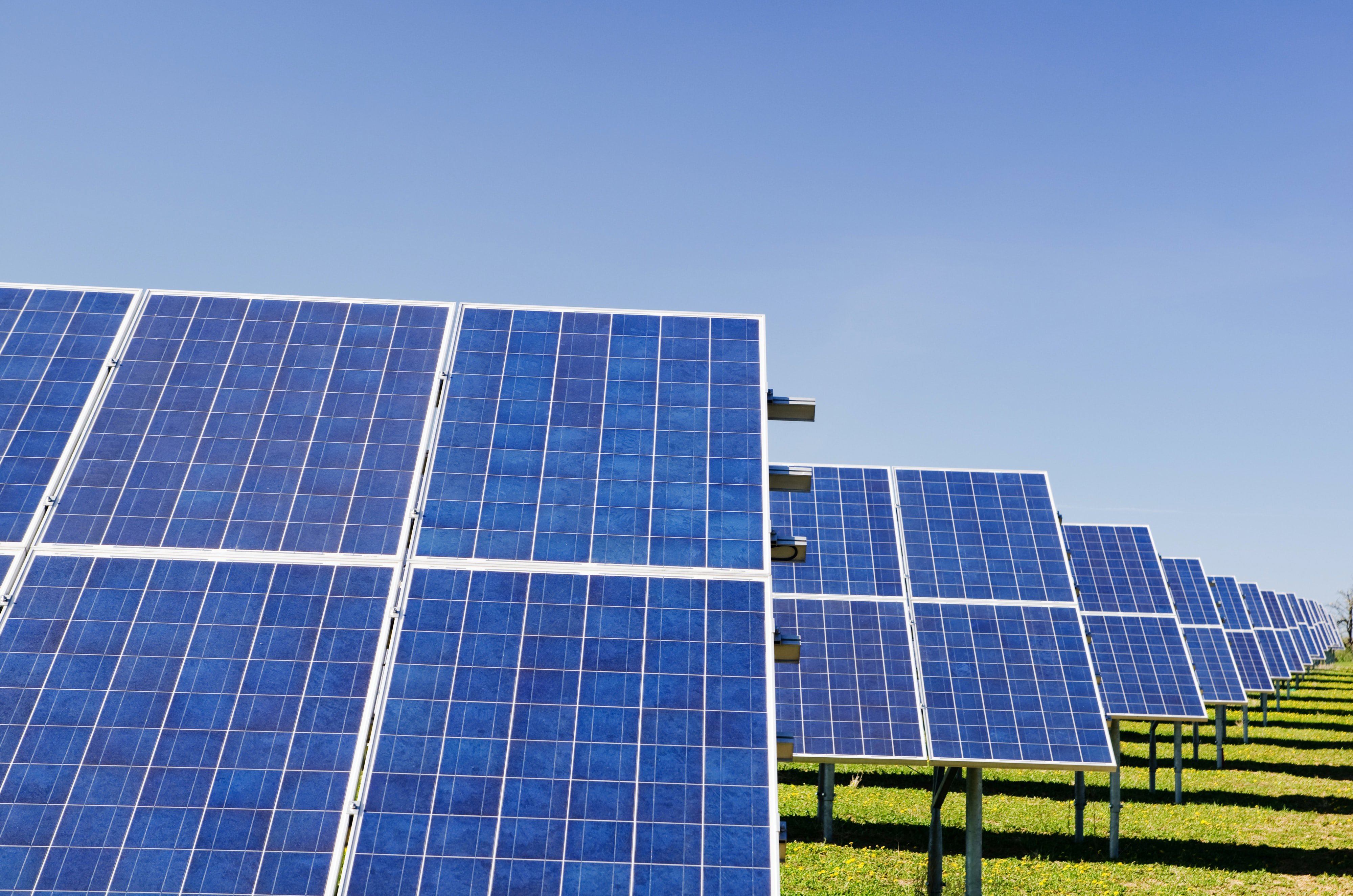 Blue solar panel sheets laid out in a green field. The sun is shining and the panels are casting a shadow on the grass