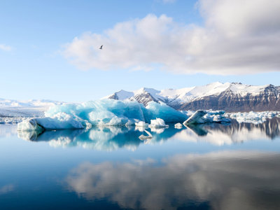 A white a blue glacier, seen emerging from a very still ocean. The ocean is so still that it is reflecting the blue sky and clouds above. Mountains are in the background
