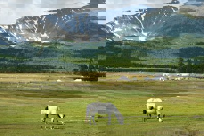 Mountains showing glaciers