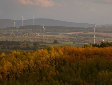 Landscape view of autumnal trees with windmills in the background.