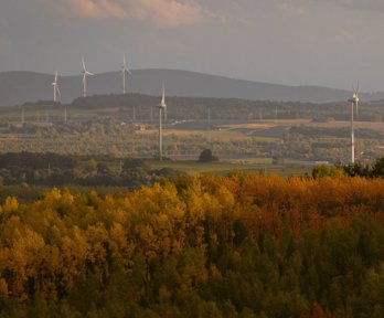 Landscape view of autumnal trees with windmills in the background.