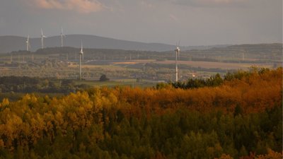 Landscape view of autumnal trees with windmills in the background.
