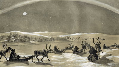 Black and white illustration of reindeer and men in Lapland .