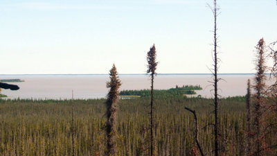 Dense boreal forest with tall sparse trees in foreground, overlooking a large calm lake under a clear sky.
