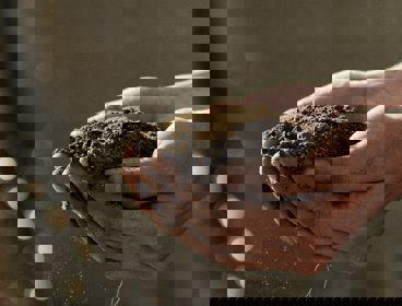 Hands holding a pile of soil