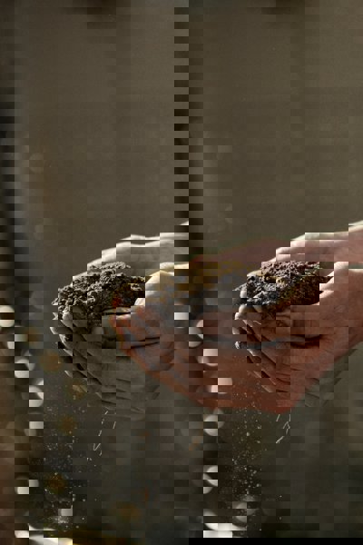 Hands holding a pile of soil