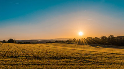 A field of grass surrounded by hills and trees in the background. The sun shines from the right hand side, emitting beams of light. 