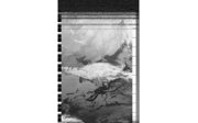 A satellite image taken from Seoul, South Korea in 2023 showing a bank of cloud sitting above the Korean Border