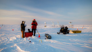 Research team collecting notes while wearing gloves
