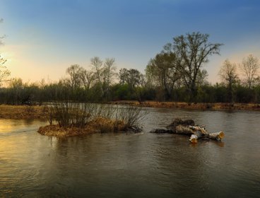 Flooding in a rural area