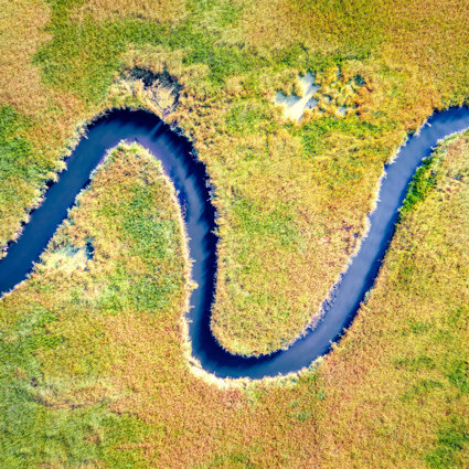 An attractive picture of a blue river meander, on a background of yellow-green grassland. The image is taken from above.