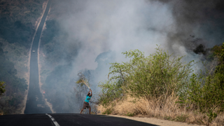 A person tries to extinguish a roadside wildfire with a tree branch as smoke billows across the landscape.