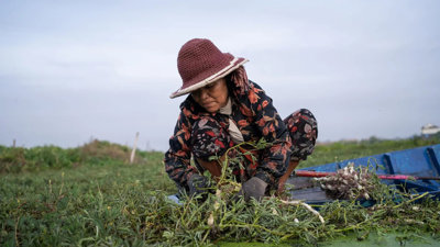 A person squatted while cultivating land next to a river delta.