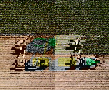 Corn harvest in a field as seen from above.