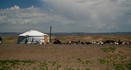A herd of goats next to a yurt and motorbike, with a mountainous landscape in the background.