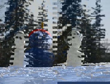 A small snowman perched on a snowy hill, with a red peaked cap and stones for eyes and a nose, and sticks for arms