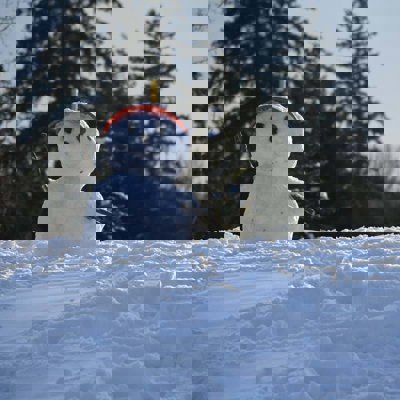 A small snowman perched on a snowy hill, with a red peaked cap and stones for eyes and a nose, and sticks for arms