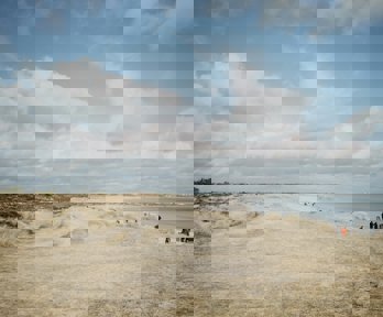 A sand dune formation in a beach