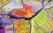 Close up of Lucy Tammam's embroidered scarf. 