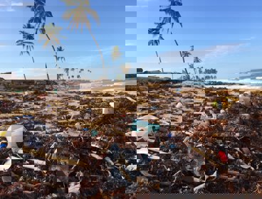 A beach scene with sand and palm trees, covered in plastic rubbish and old fishing nets