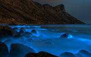 A sea with a blue bioluminescent glow.