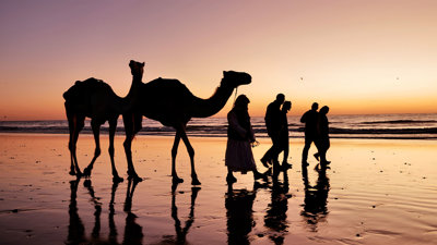 Silhouettes of two camels and four people walking on a beach at sunset.